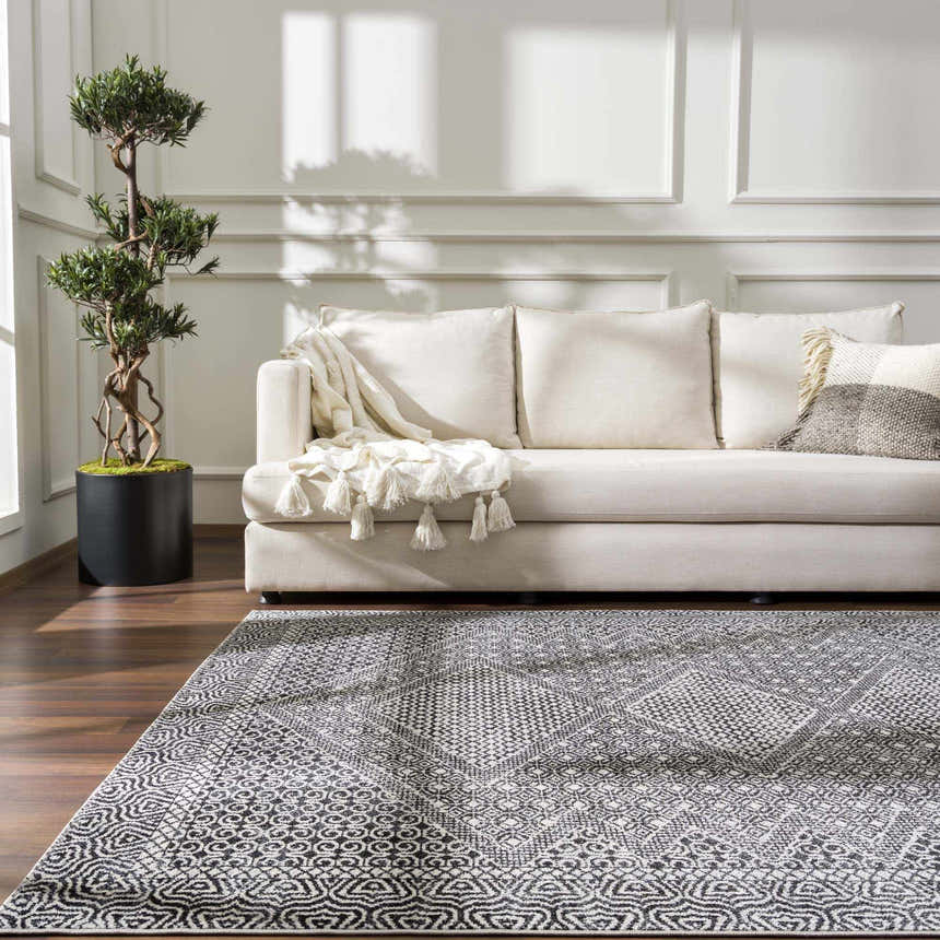 Living room scene with a Coledale Black & White Washable Rug, beige sofa, throw blanket, and potted tree. Roomscene-Rectangle