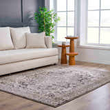 Living room scene with a beige sofa and Albie Charcoal & Beige Area Rug. The rug has a traditional, distressed pattern. Roomscene-Rectangle