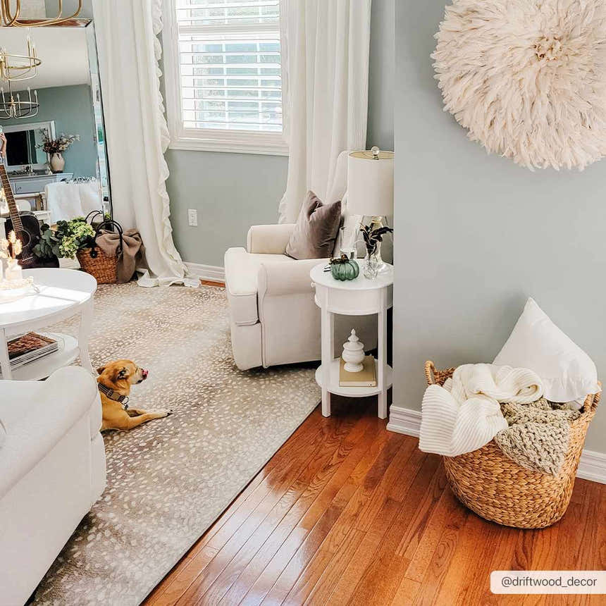 Living room scene with a Pointblank Tan Leopard Print Rug under white furniture and a cute dog. Roomscene-Rectangle