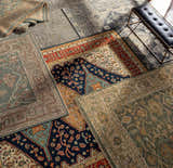 Overhead shot of multiple Rockton Area Rugs in black, brown, sage, and beige with traditional and oriental patterns. Styleshot