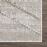 Close-up of the Baqer Bone & Tan Textured Performance Rug showing its woven design and neutral color palette. Swatch