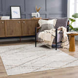 Living room scene with Baqer Bone & Tan Textured Performance Rug, wood cabinet, gray chair, and neutral accents. Roomscene-Rectangle