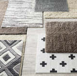 Close-up of various Ascot Area Rugs showcasing textures, patterns, and colors like beige, charcoal, and olive. Styleshot
