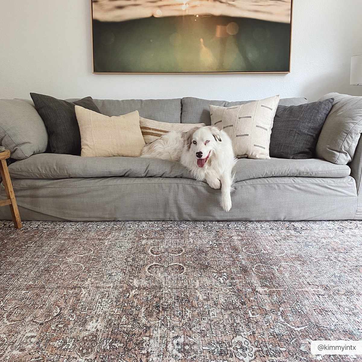 Living room scene with gray sofa, happy dog, and Jill Washable Area Rug in brown and blue tones. Roomscene-Rectangle