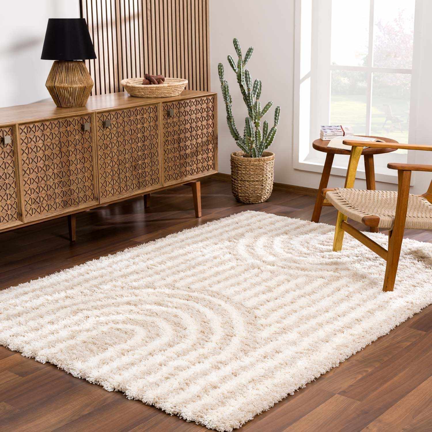 Living room scene with a neutral Emmly Shag Area Rug, wood furniture, and a cactus near a window. Roomscene-Rectangle