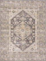 Close-up of the Keola Washable Area Rug. Traditional rug design in neutral tones of gray, beige, and cream. Design-Rectangle-537