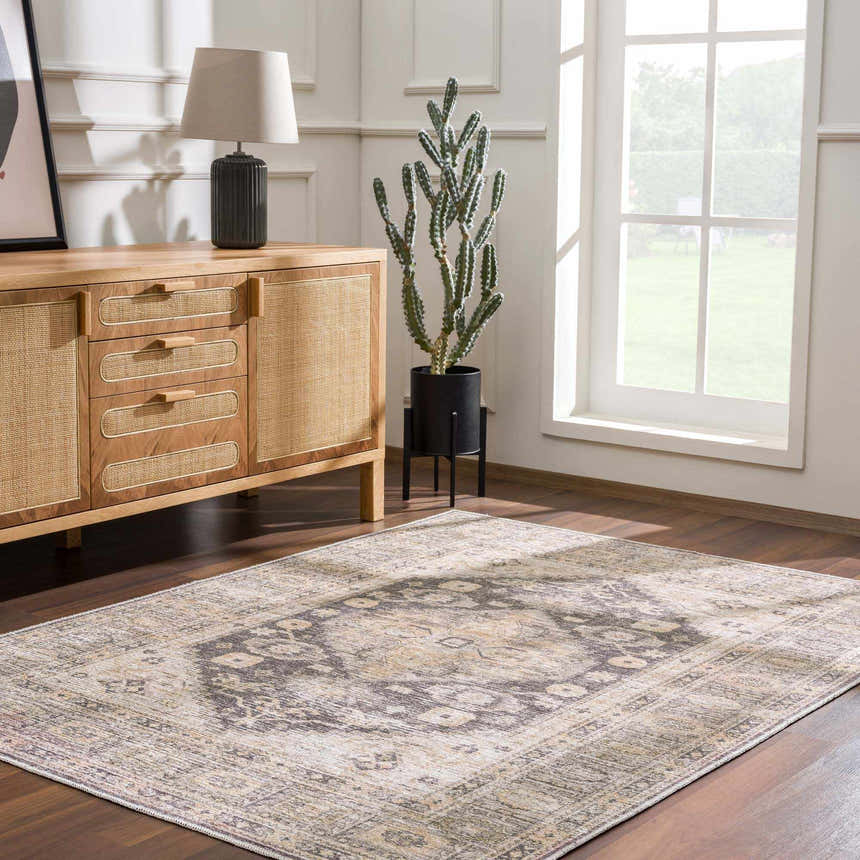 Living room with wood floors, Keola Washable Area Rug, wood cabinet, lamp, cactus, and natural light from a large window. Roomscene-Rectangle