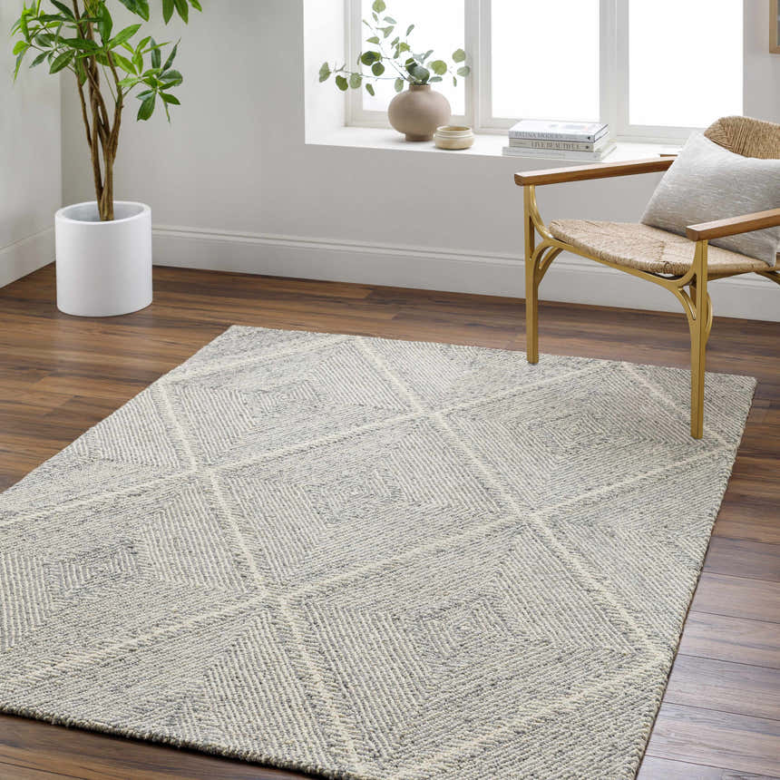 Living room scene with the light gray Amari Area Rug, woven chair, wood floors, and natural light. Roomscene-Rectangle