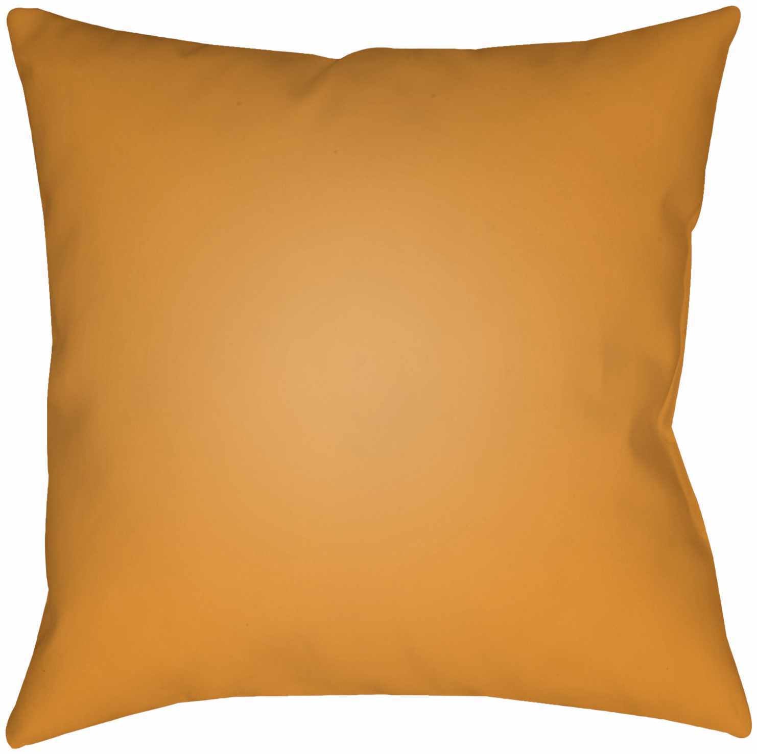 Apad Outdoor Throw Pillow