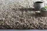 Close-up of the Ascot Area Rug. Beige and charcoal shag texture. Hand-woven rug with decorative plant pots. Styleshot