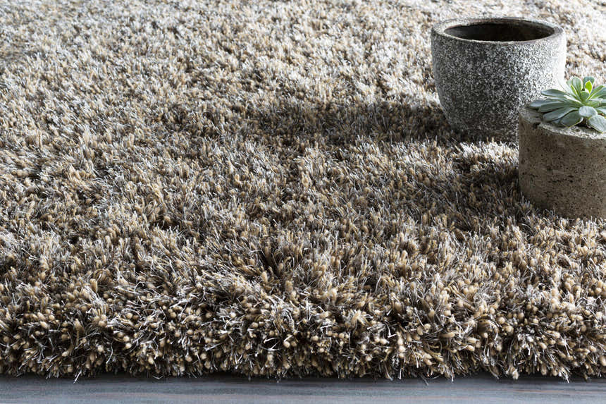 Close-up of the Ascot Area Rug. Beige and charcoal shag texture. Hand-woven rug with decorative plant pots. Styleshot
