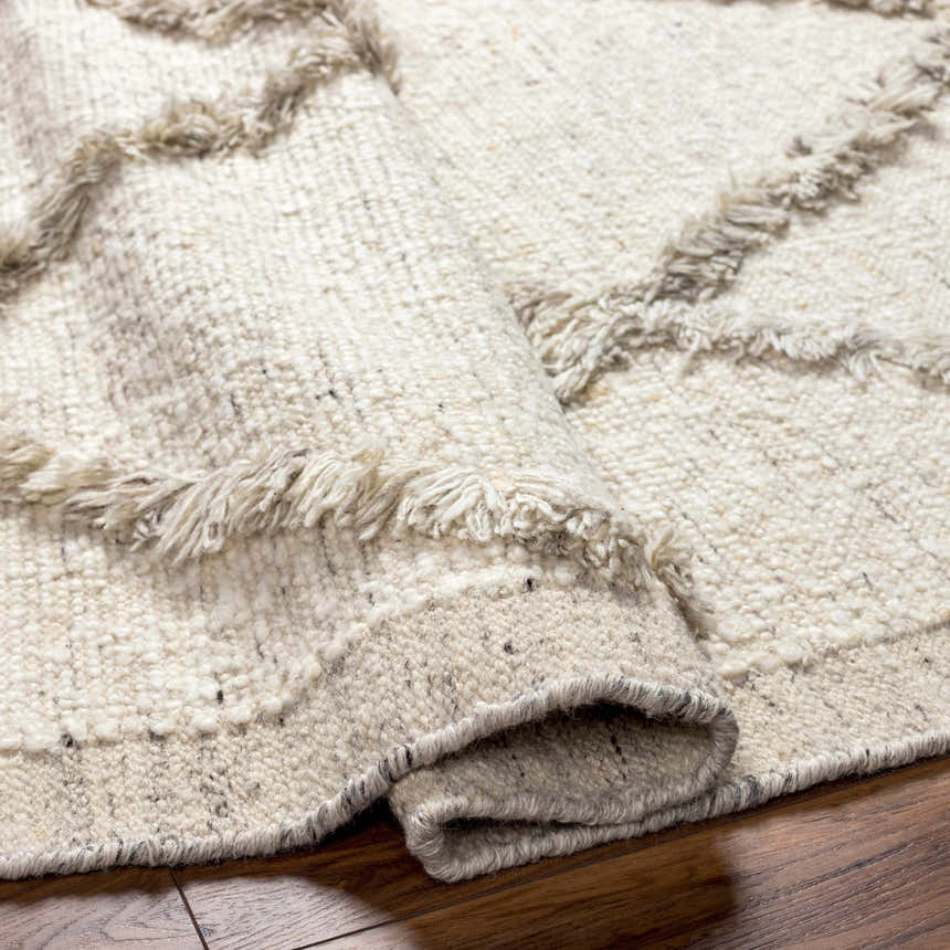 Close-up of the Awen Hand Knotted Wool Area Rug showing its beige, cream, and charcoal colors and fringe detail. Fold