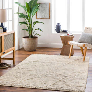 Living room scene with a beige Aysu Area Rug, woven texture, geometric pattern, wood furniture and a large plant. Roomscene-Rectangle