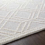 Close-up of the Bansalan Area Rug, a cream and gray polyester rug with a geometric pattern and soft, plush texture. Texture