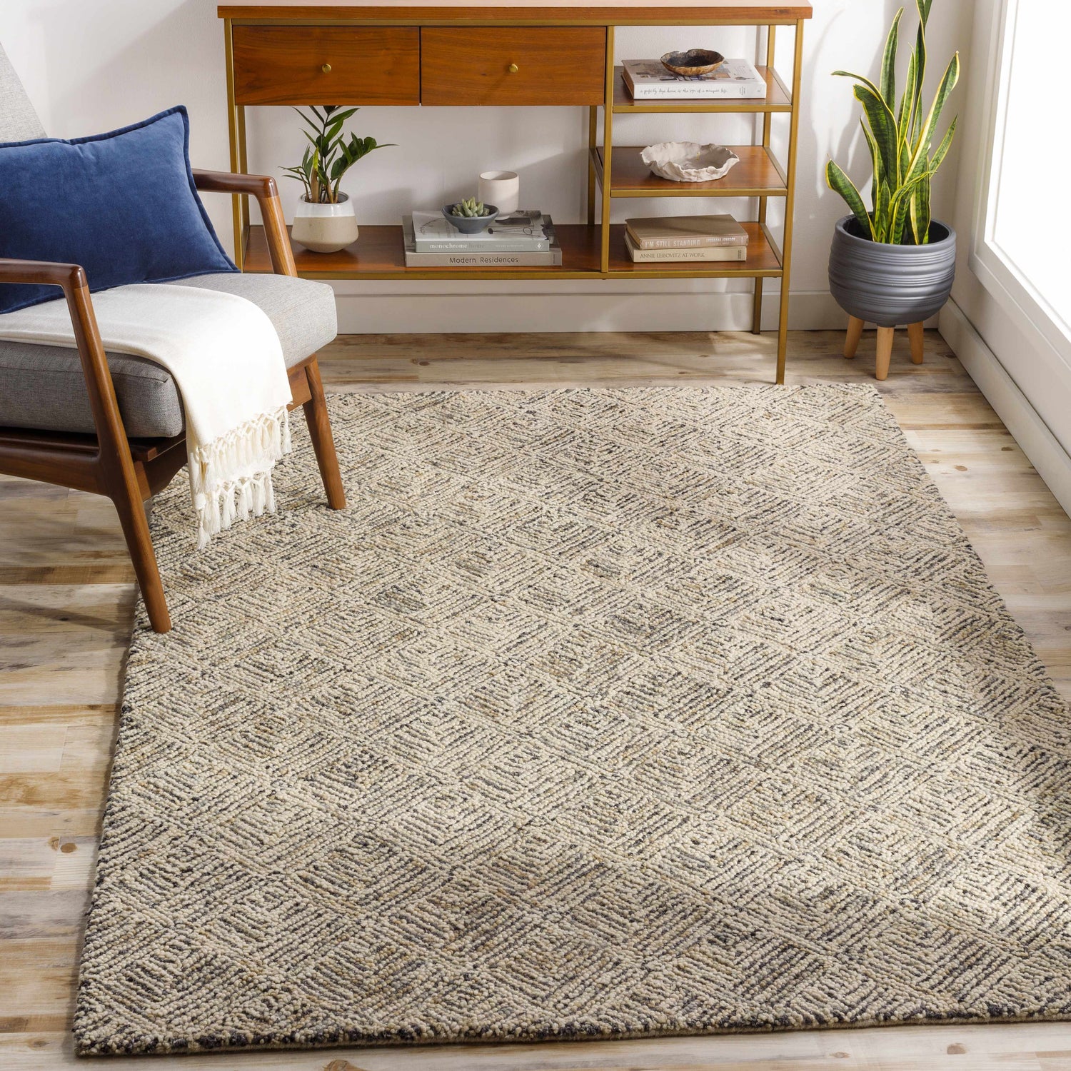 Living room scene with a Barahan Area Rug, wood console table, potted snake plant, and gray armchair with a blue pillow. Roomscene-Rectangle