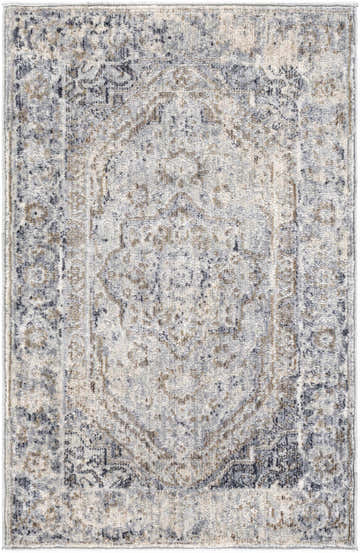 Close-up of the Beebe Luxe Machine Area Rug with a traditional, distressed design in ivory, gray, brown, and black tones. Design-Rectangle-23
