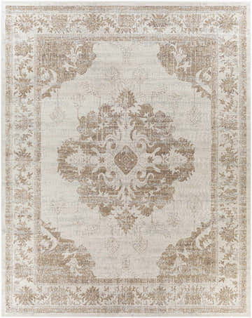 Close-up of the Benkelman Area Rug. Machine woven rug in gray, ivory, light slate, and tan with a traditional, oriental design. Design-Rectangle-71010