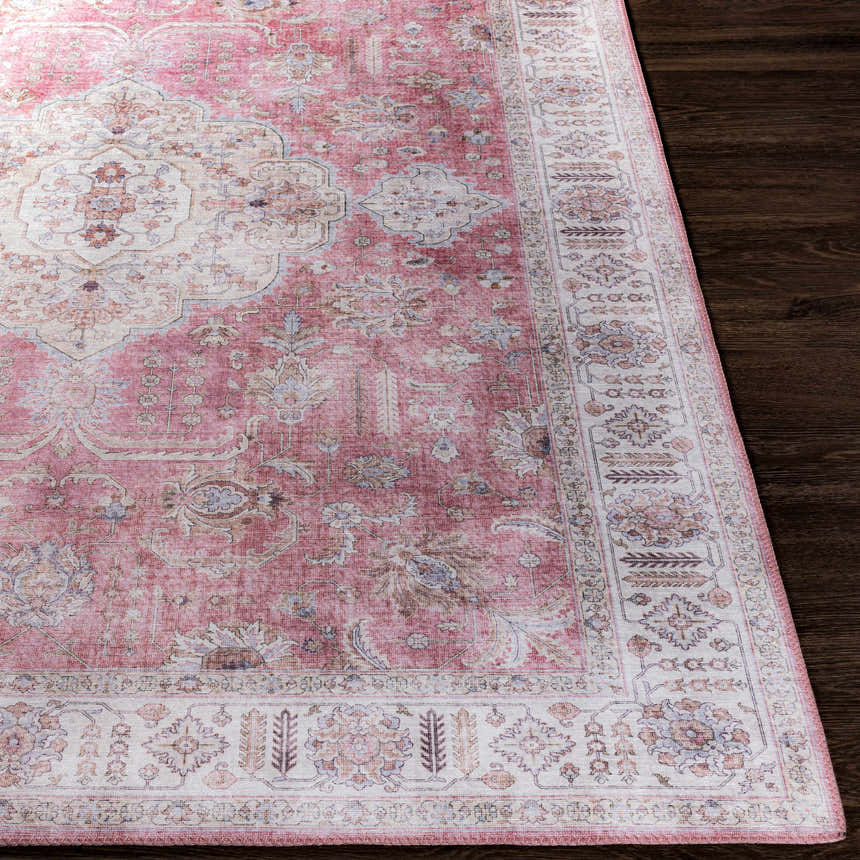 Close-up of the Bergman Distressed Red Area Rug showing its blush, cream, and red oriental pattern and distressed texture. Front