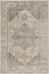Close-up of the Ballisodare Thick Luxe Boutique Rug, showcasing its traditional oriental pattern and colors like beige, gray, and brown. Design-Rectangle-575
