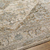 Close-up of the Ballisodare Thick Luxe Boutique Rug showing its beige, gray, and brown oriental pattern and soft texture. Texture