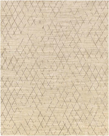 Close-up of the Bonogin Area Rug. Tan rug with a dark brown geometric diamond pattern. Hand-loomed viscose rug. Design-Rectangle-69