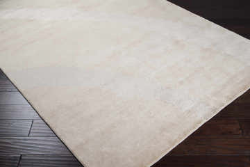 Close-up of the beige Bosworth Area Carpet showing its subtle, contemporary pattern and wool texture on dark wood floors. Corner