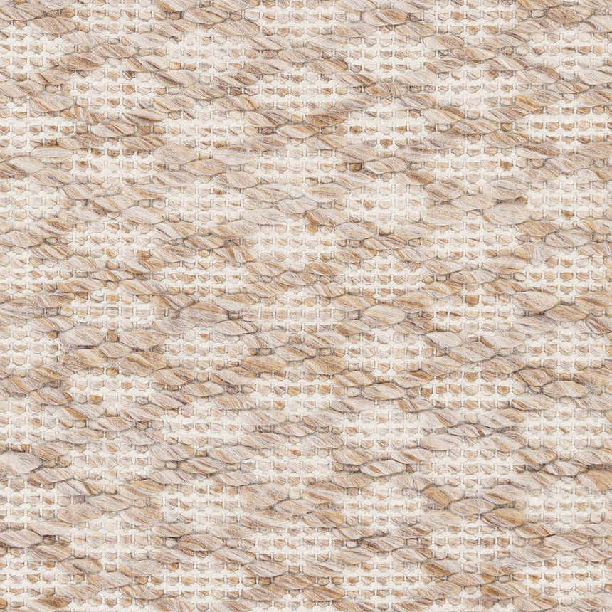 Close-up of the Brillion Area Carpet. Hand-woven polyester rug with a textured, natural fiber look in neutral beige and cream tones. Swatch