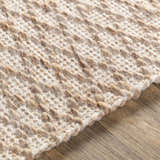 Close up of the hand woven Brillion Area Carpet, showing its textured, natural fiber design and neutral colors. Texture