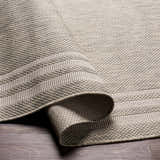 Close-up of the beige and gray Burradoo Bordered Area Rug showing its woven texture and striped border detail. Fold