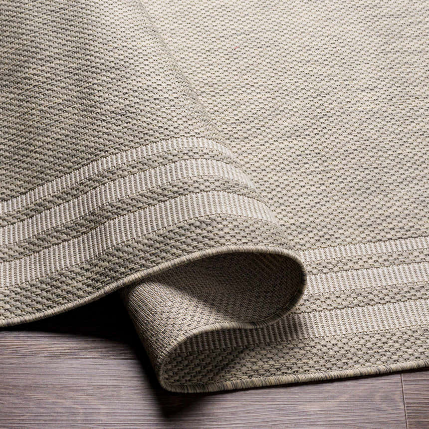 Close-up of the beige and gray Burradoo Bordered Area Rug showing its woven texture and striped border detail. Fold