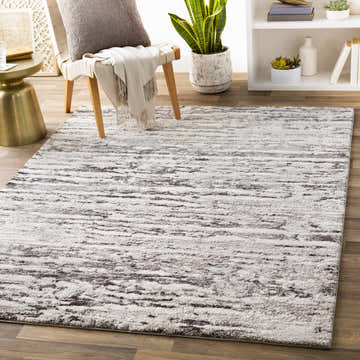Living room scene with the Butters Area Rug in black, ivory, and gray. Contemporary style on wood floor with chair and plant. Roomscene-Rectangle