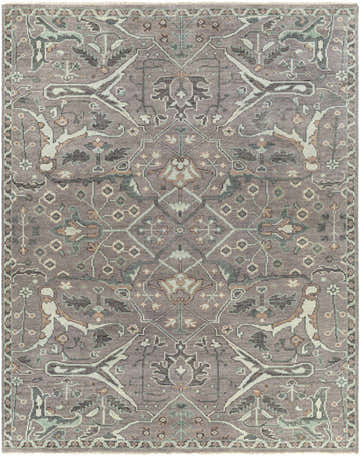Detailed Bugasan Area Rug close-up. Hand-knotted wool rug in gray, teal, brown, and plum with an oriental pattern. Design-Rectangle-810
