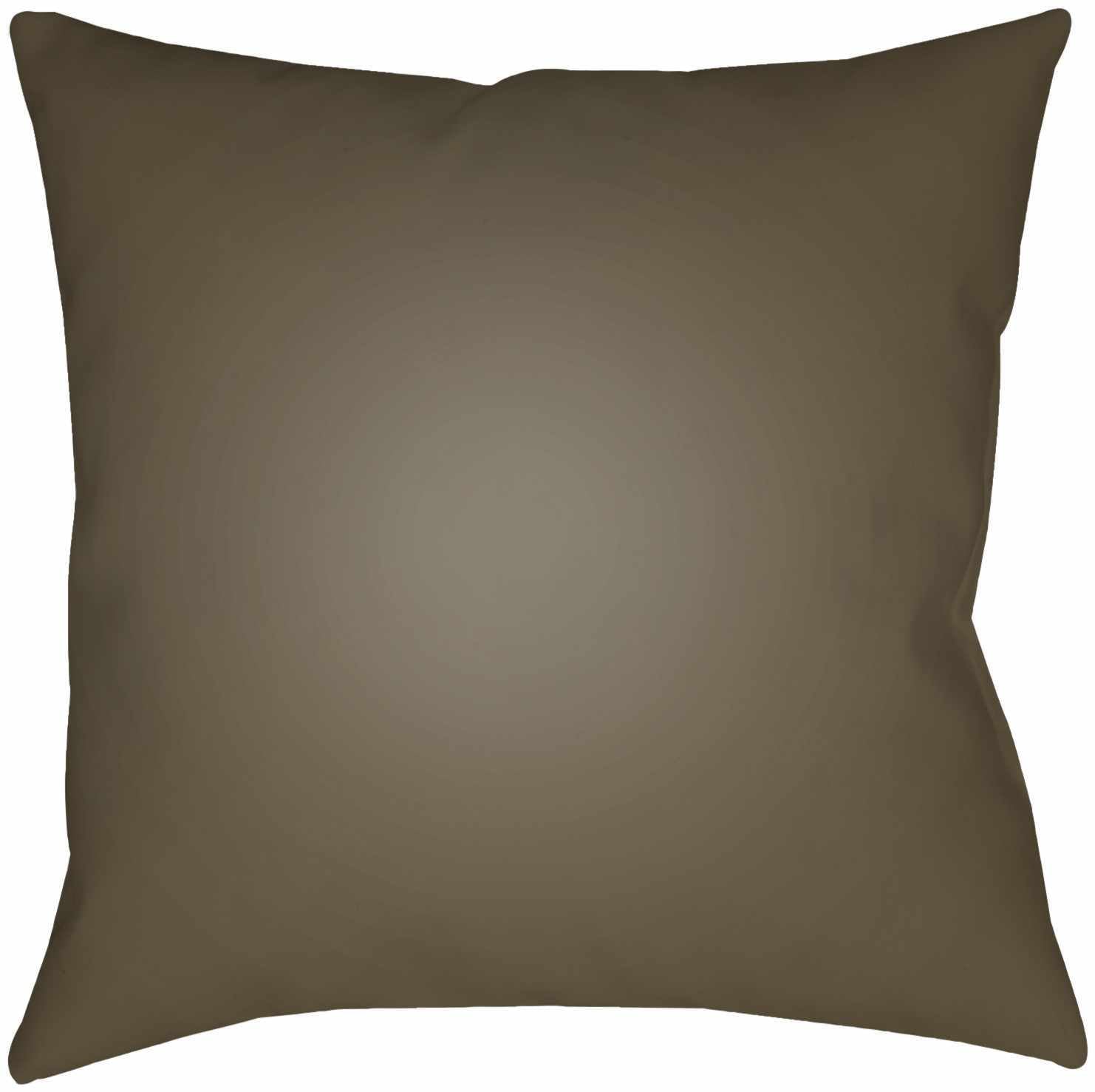 Cajidiocan Outdoor Throw Pillow