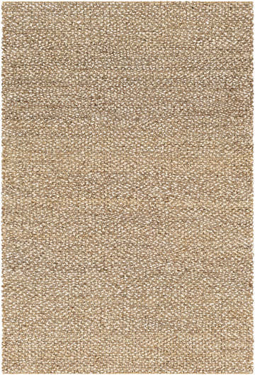 Close-up of the Caspar Hand Woven Natural Jute Rug showing its woven texture and natural jute, cream, and light brown colors. Design-Rectangle-576