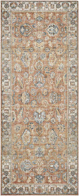 Close-up of the Cayla Area Rug featuring a traditional design in bone, clay, garnet, light brown, and taupe. Design-Runner
