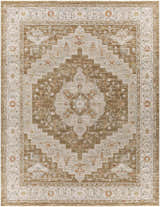 Close-up of the Canadensis Thick Luxe Traditional Turkish Rug in brick red, beige, and charcoal with an oriental pattern. Design-Rectangle-710103