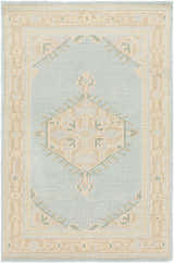 Close-up of the Carpio Carpet, a hand-knotted wool rug with beige, light brown, sage, and gray traditional farmhouse patterns. Design-Rectangle-23