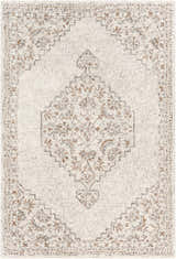 Close-up of the Currimao Area Carpet, showcasing its traditional Persian-style design in neutral tones with brown and gray floral accents. Design-Rectangle-576