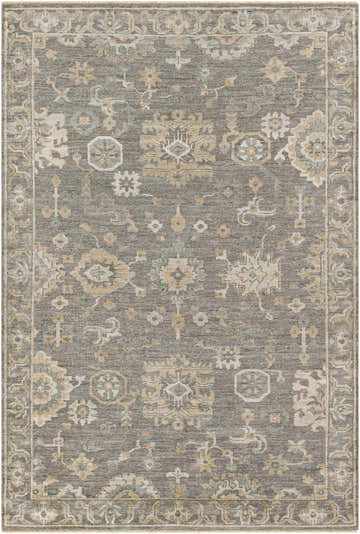 Detailed view of the Dallas Area Rug in charcoal, sage, and beige with a traditional oriental pattern. Design-Rectangle-69
