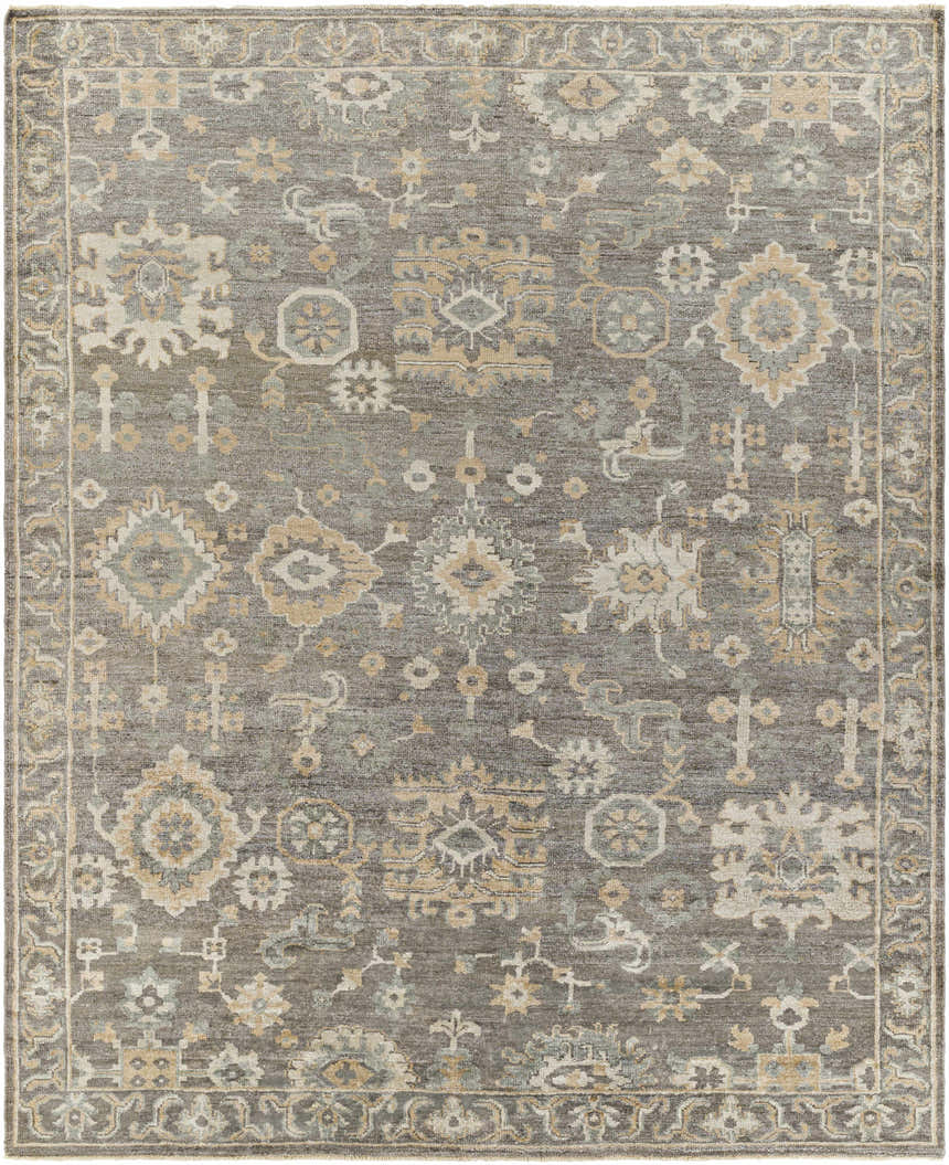 Detailed view of the Dallas Area Rug - Clearance, featuring charcoal, sage, and beige tones in a traditional oriental pattern. Design-Rectangle-810