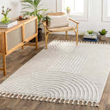 Living room scene with the Dauin 3D Rainbow Area Rug. Modern geometric rug in cream and gray with tassels. Wood furniture, plants. Roomscene-Rectangle