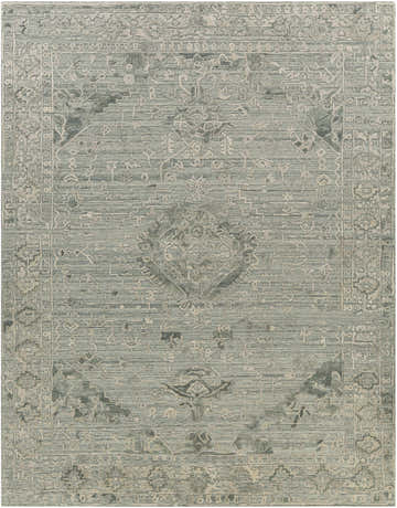 Davilla Area Rug, a hand-loomed rectangular rug in dark green, light gray, and sage with a Persian-inspired design. Design-Rectangle-810