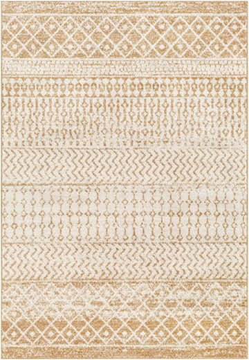 Close-up of the Dong Area Rug. Beige and bone geometric patterns create a farmhouse, transitional style. Design-Rectangle-5376
