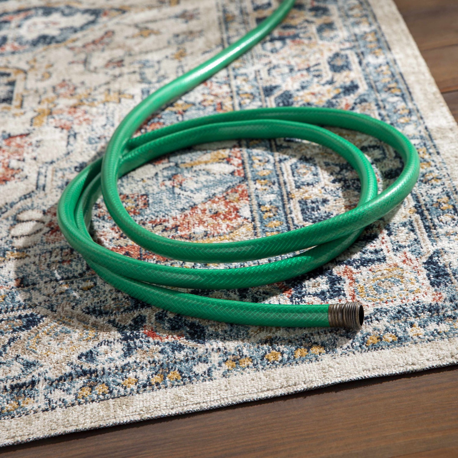 Close-up of Dorval Traditional Rug with brick red, cream, denim, and gray pattern. Green garden hose on rug. Styleshot