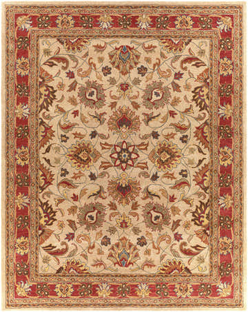 Detailed floral pattern of the Cherryfield Hand Tufted Brown & Rust 1001 Wool Rug. Colors include brick red, brown, and tan. Design-Rectangle-7696