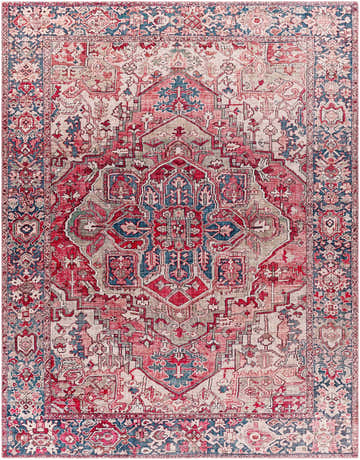 Detailed Neyland Iris Blush Area Rug 2357 with a traditional oriental design in blush, cream, navy, and red tones. Design-Rectangle
