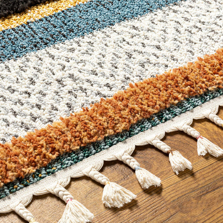 Close-up of Edmundston area rug showing black, blue, bone, and camel stripes with braided tassels on a wood floor. Texture