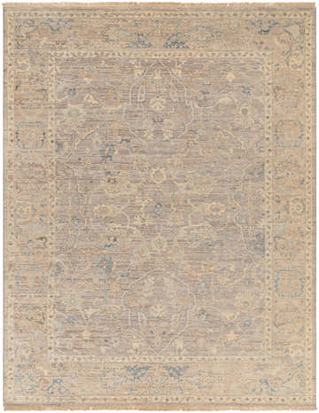 Close-up of the hand-knotted Ellie Area Rug. Beige, denim, and brown traditional rug with a farmhouse design and wool texture. Design-Rectangle-810