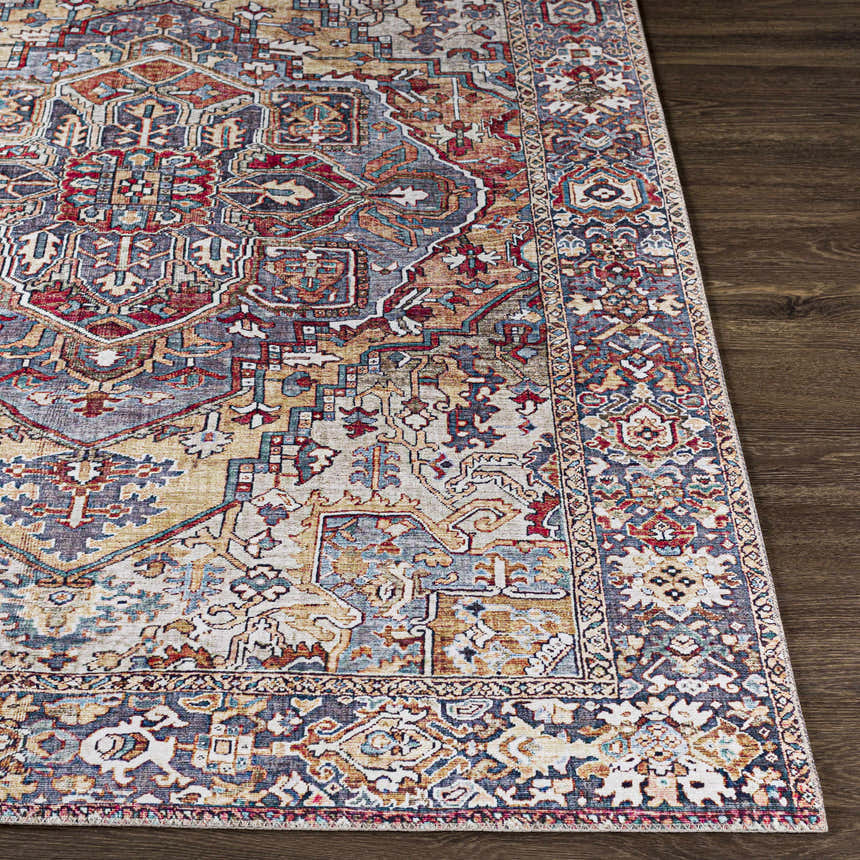 Close-up of Neyland Iris Area Rug. Beige, brick red, and navy oriental rug with a traditional pattern on a wood floor. Front