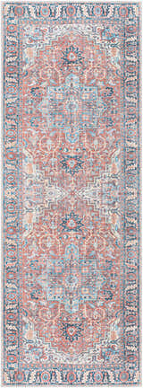 Detailed view of the Evony Washable Area Rug in bone, dark gray, and nutmeg, featuring a traditional, vintage-inspired pattern. Design-Runner-2773